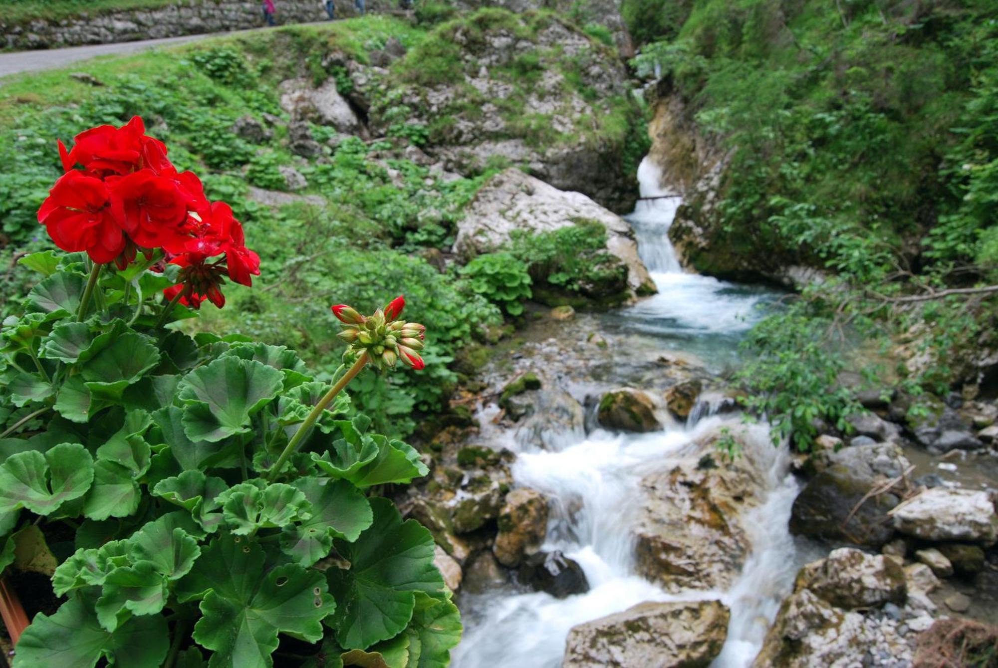 Dolomitissime Holiday Homes Marmolada روكا بييتوري المظهر الخارجي الصورة